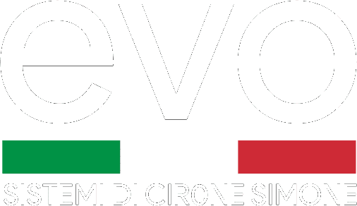 Web Agency Evo Sistemi