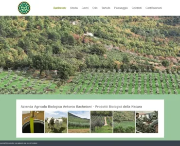 La home page dell'Azienda Agricola Biologica Antonio Bachetoni presenta un'intestazione con opzioni di navigazione, un'immagine aerea di un rigoglioso paesaggio agricolo e un banner che mostra foto di bestiame, prodotti e attività agricole. Tutti i testi sono in italiano per riflettere l'essenza dell'azienda agricola Bachetoni.