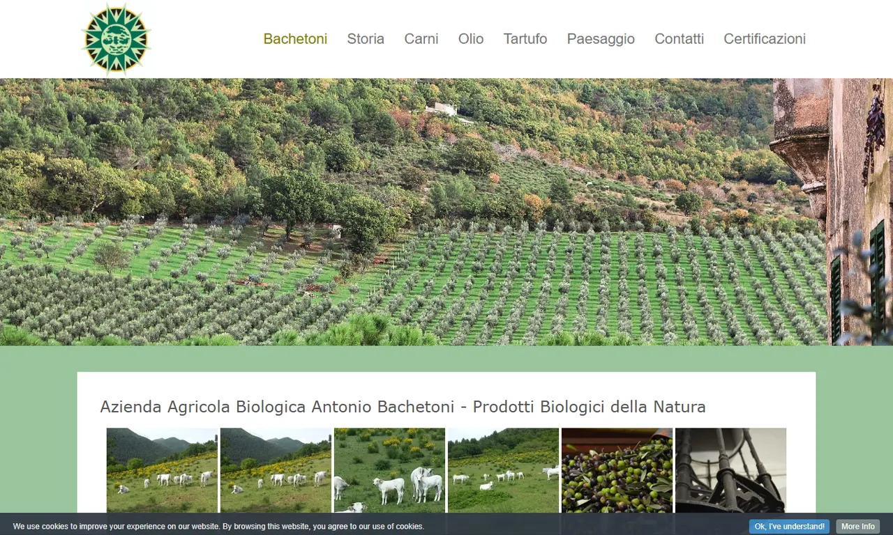 Screenshot della parte alta del sito Bachetoni, case study Evo Sistemi