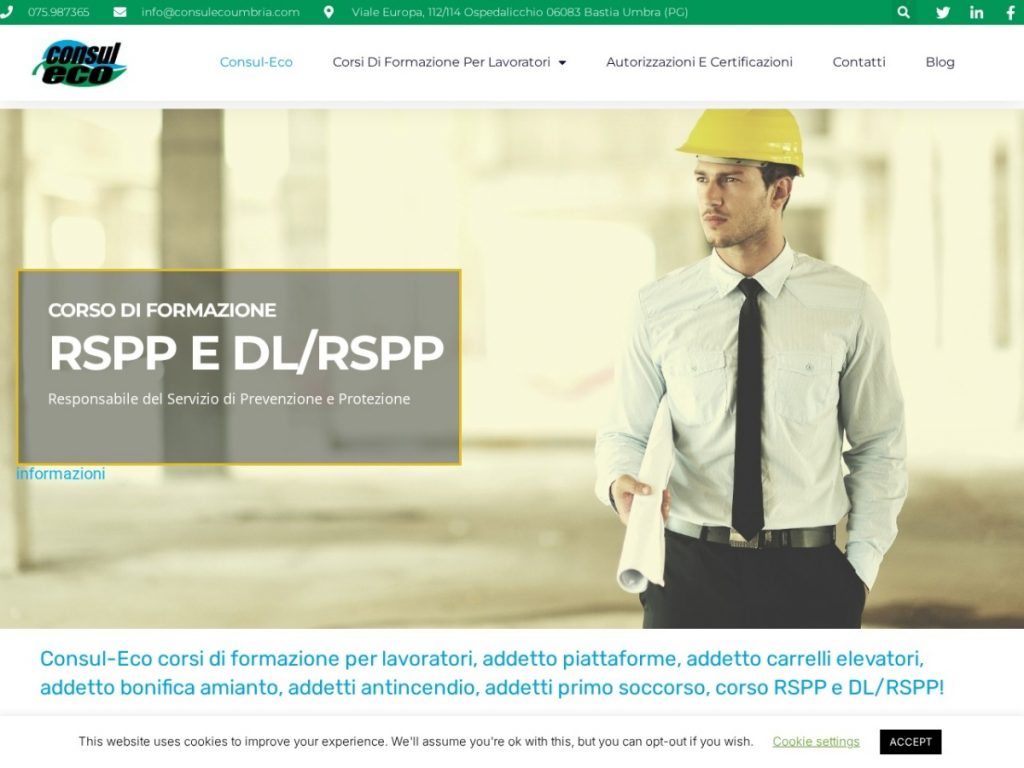 Screenshot del sito Consul-Eco