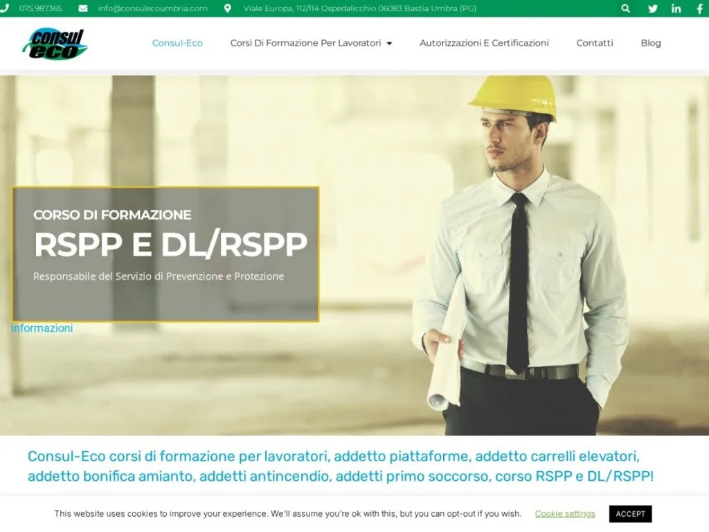 Screenshot del sito Consul-Eco