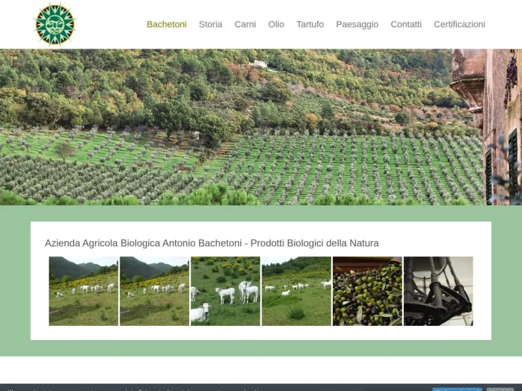 Screenshot del sito Bachetoni